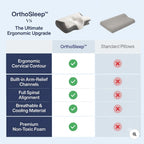 Kinvero Cervical Pillow